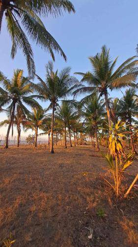 Sablayan Resort | 100 m² Resort ∙ 3 bedrooms ∙ 7 guests
