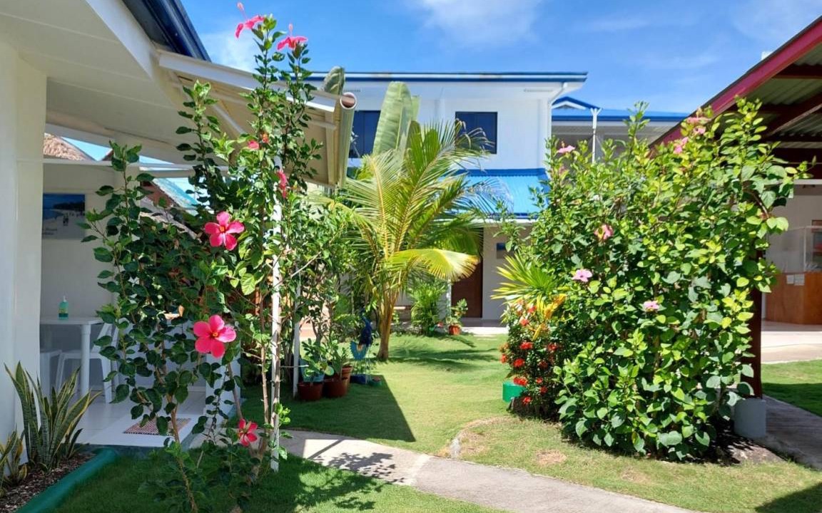 Moalboal Bed & Breakfast | 21 m² Bed and breakfast ∙ 2 guests