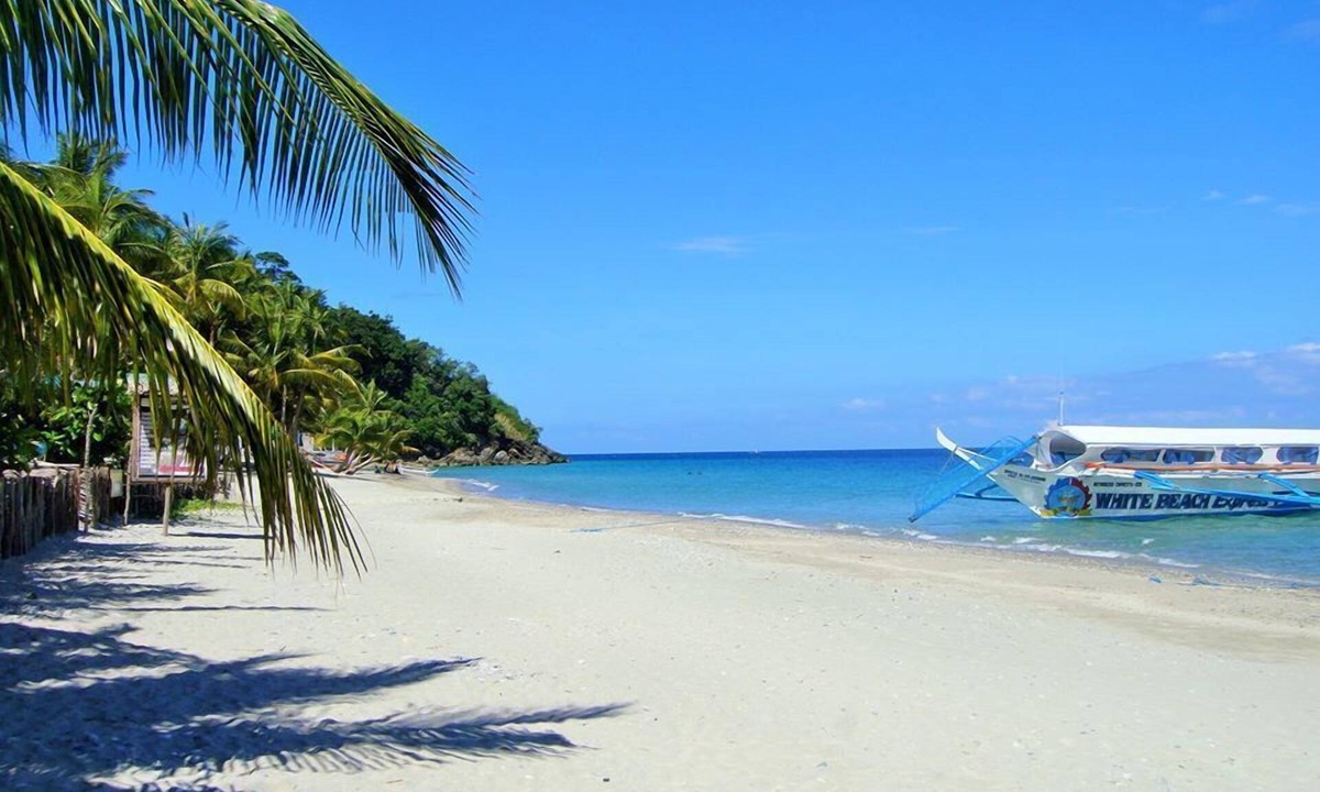 Abra de Ilog House | Amami Beach Resort