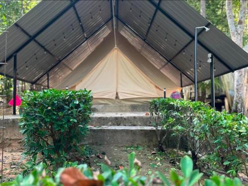 Kuala Tahan Other | Amar Camp Taman Negara Kuala Tahan