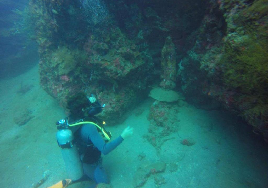 Mabini House | Anilao Scuba Dive Center (ASDC)