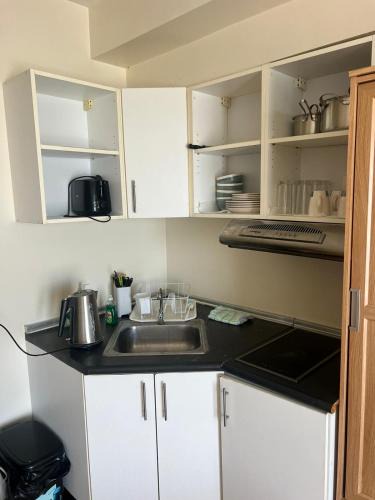 Lahug Apartment | Avida Condominium