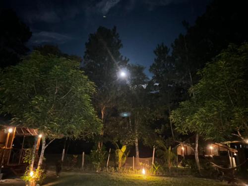 San Vicente Hotel | Back Trippers Inn