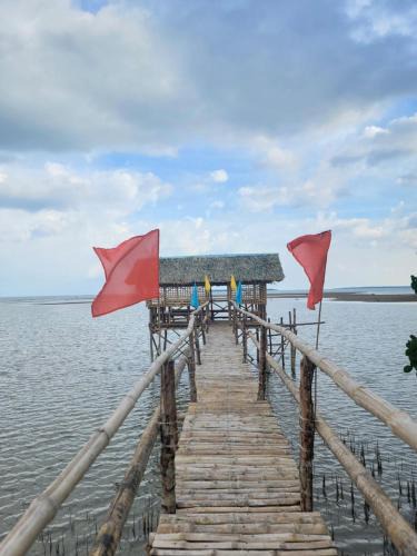 Roxas House | Bamboo House