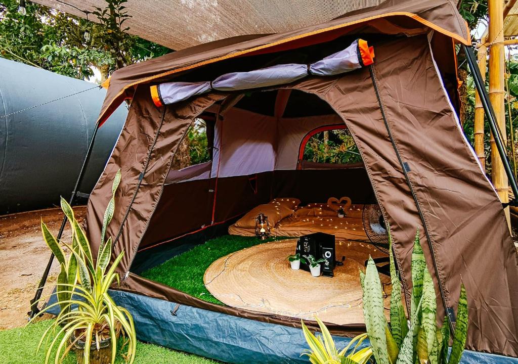 Magallanes Other | Big Camp
