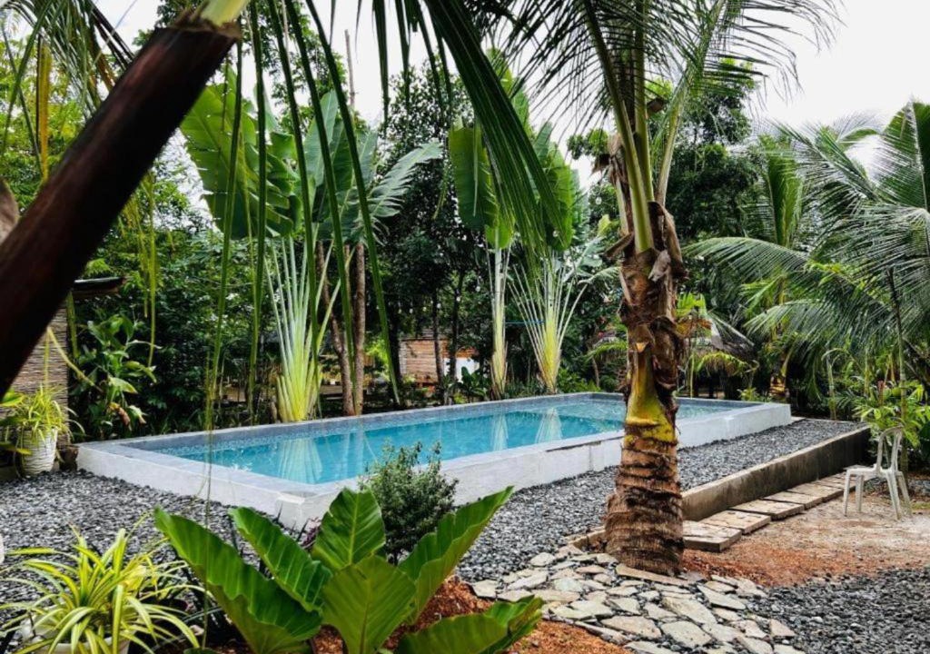Libaong Bed & Breakfast | Bohol Island Homestay