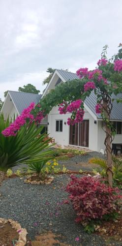 Anda House | Bohol Lovers Homestay in Anda Bohol nearby beach