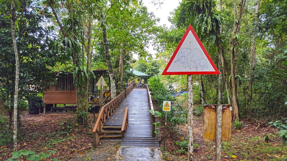 Kota Kinabatangan Hotel | Borneo Nature Lodge Sandakan