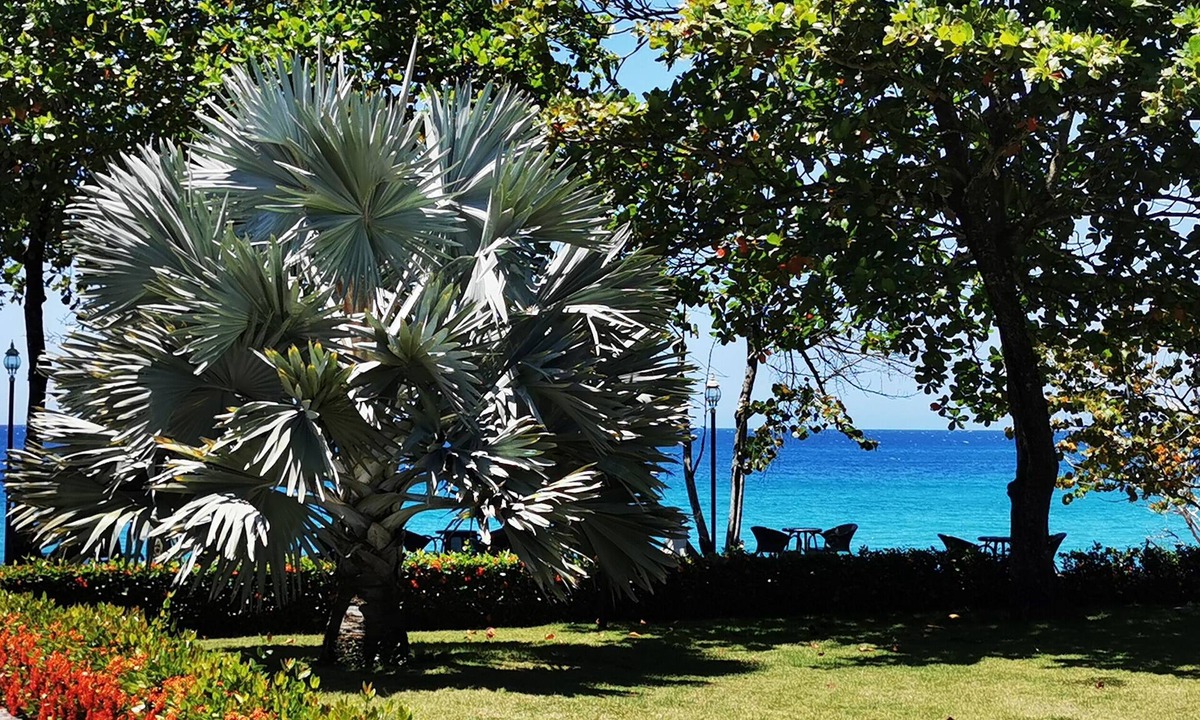 El Batey Condo | Breathtaking Beachfront Condo with Ocean Views Free Weekly Maid Service