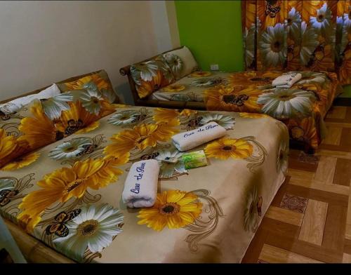 Alaminos House | Casa de Flores