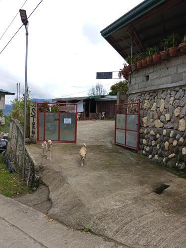 Bontoc Bed & Breakfast | Døng-elays Homestay