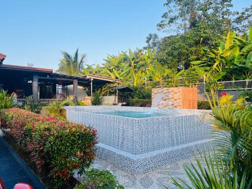 Alfonso Hostel | D lux garden resort
