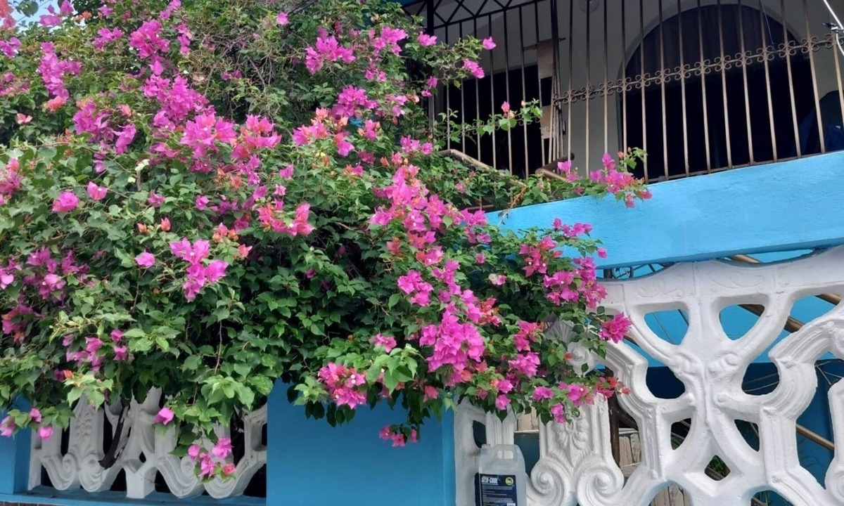 Ensanche Isabelita House | Eliana Rose