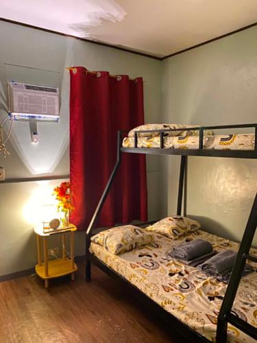Puerto Princesa City Centre Hotel | Frogman inn