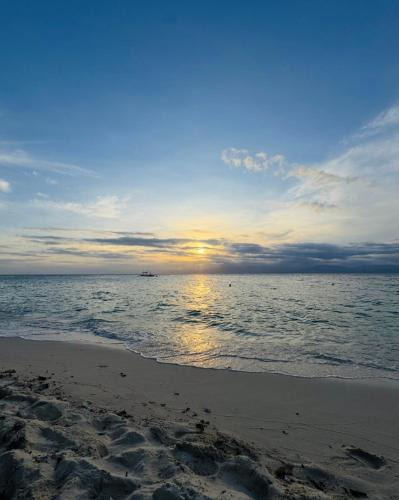 Moalboal Resort | Gardonia Native Resort - Moalboal