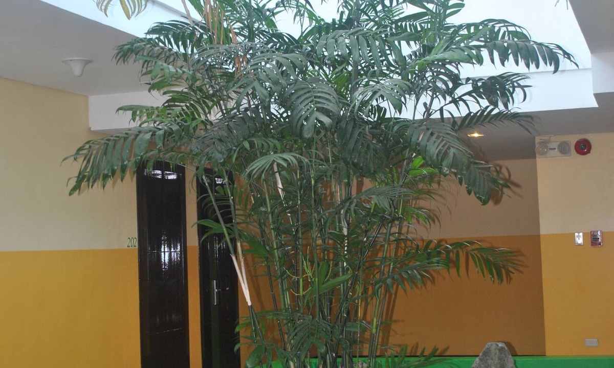 Tacloban Hotel | Go Hotels Tacloban