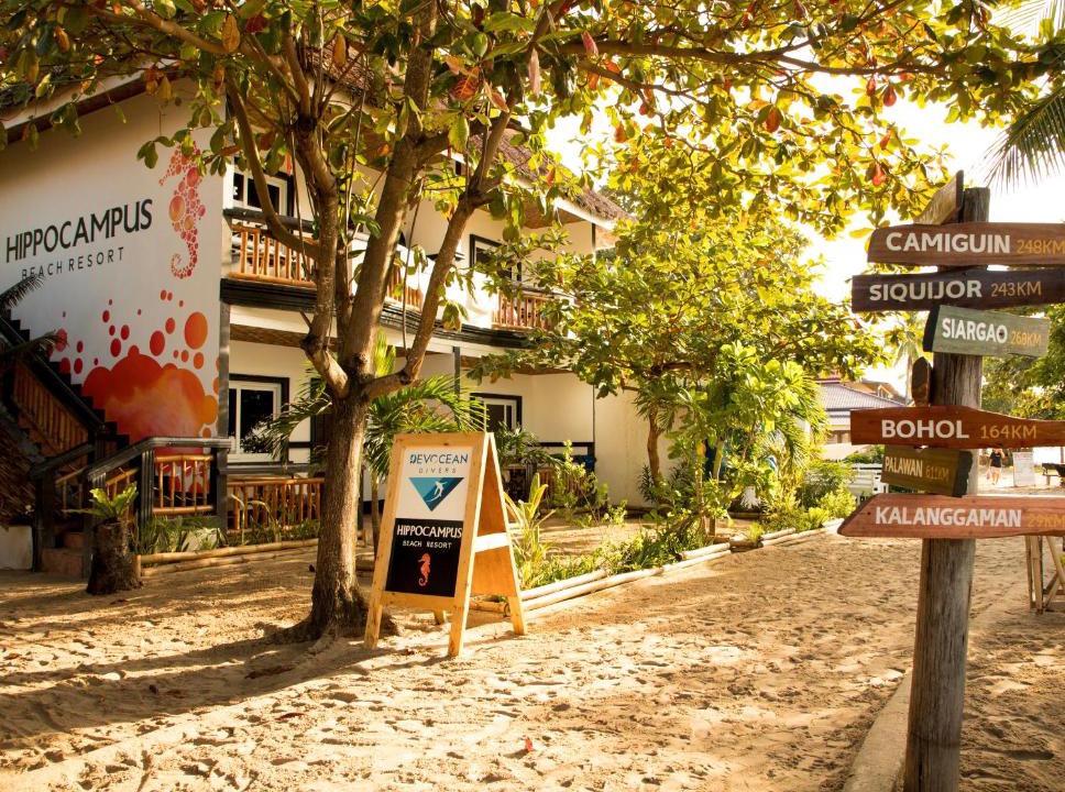 Daanbantayan Resort | Hippocampus Beach Resort