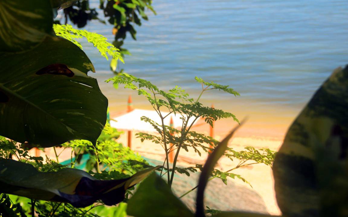 Boljoon Hostel | Hostel ∙ 8 guests