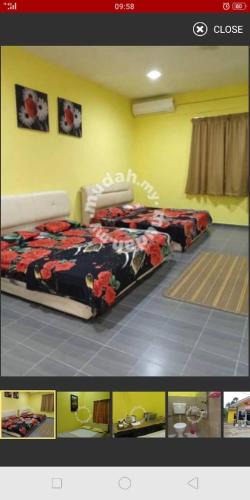 Kampung Tok Kamis Hotel | Hotel Murah Pasir Puteh