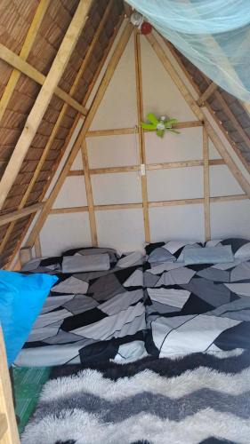 Balabac Other | Isla Malaya Tours Campsite