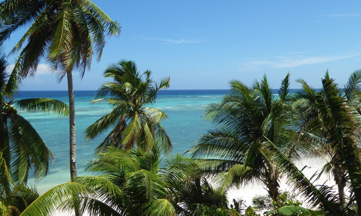 Anda Hotel | Island View Beachfront Resort