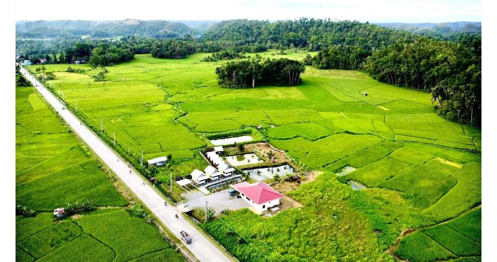 Batuan Apartment | Jazz Ferme Inn Batuan Bohol