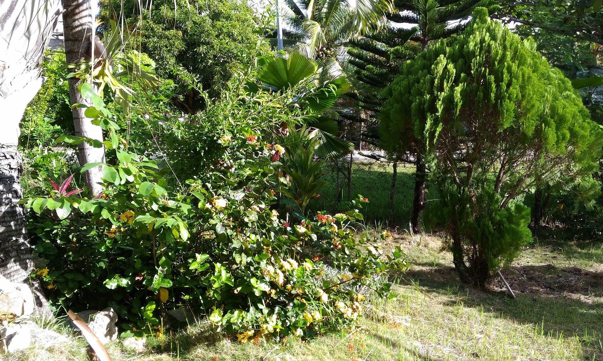Milagros Hotel | Jomajean Garden