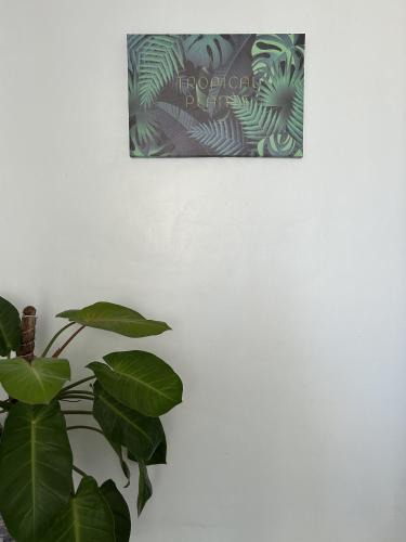 Guiuan Hotel | La Maria Traveller's Inn