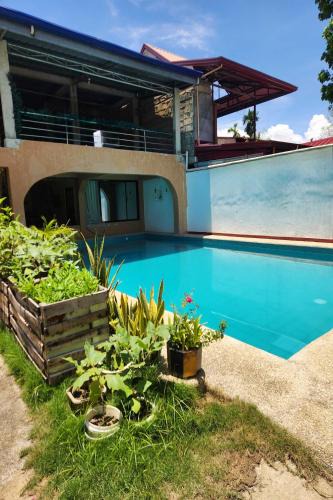 San Pedro Hostel | Larosa Hostel Puerto Princesa