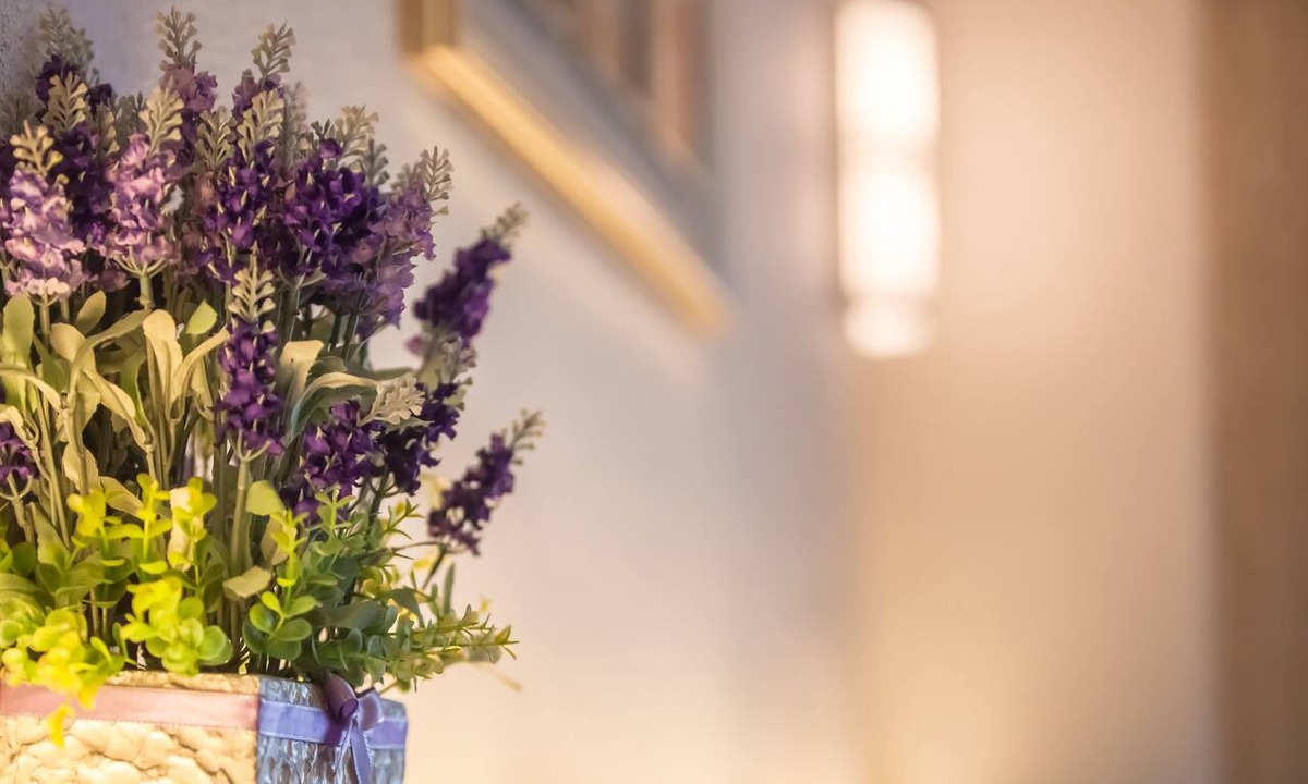 Bukit Indah Hotel | Lavender Inn Nusa Bestari