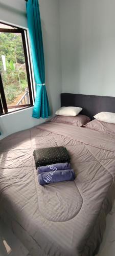 Setiu House | Lemongrass Field Homestay