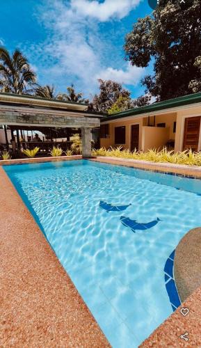 Dauis Resort | Midnite Inn