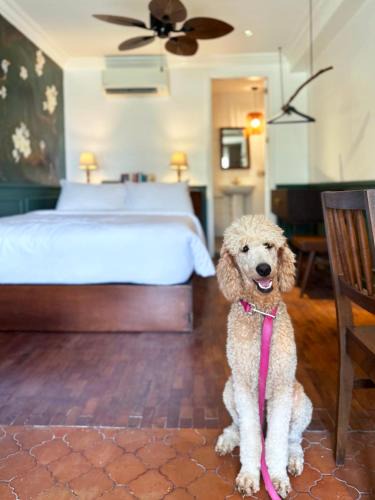 Bagong Lipunan Ng Crame Apartment | MiraNamin Nest CALACHUCHI Room in Unique Historic Home - Balcony, Rooftop, Garden View, Shared Kitchen, Pet Friendly with a Fee