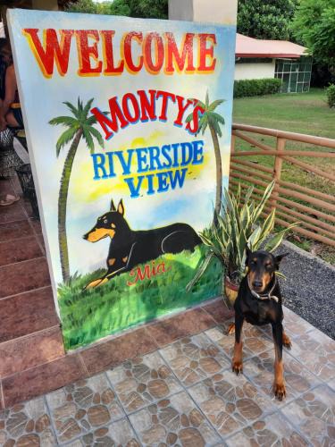 San Antonio Resort | Monty's Riverside View Resort