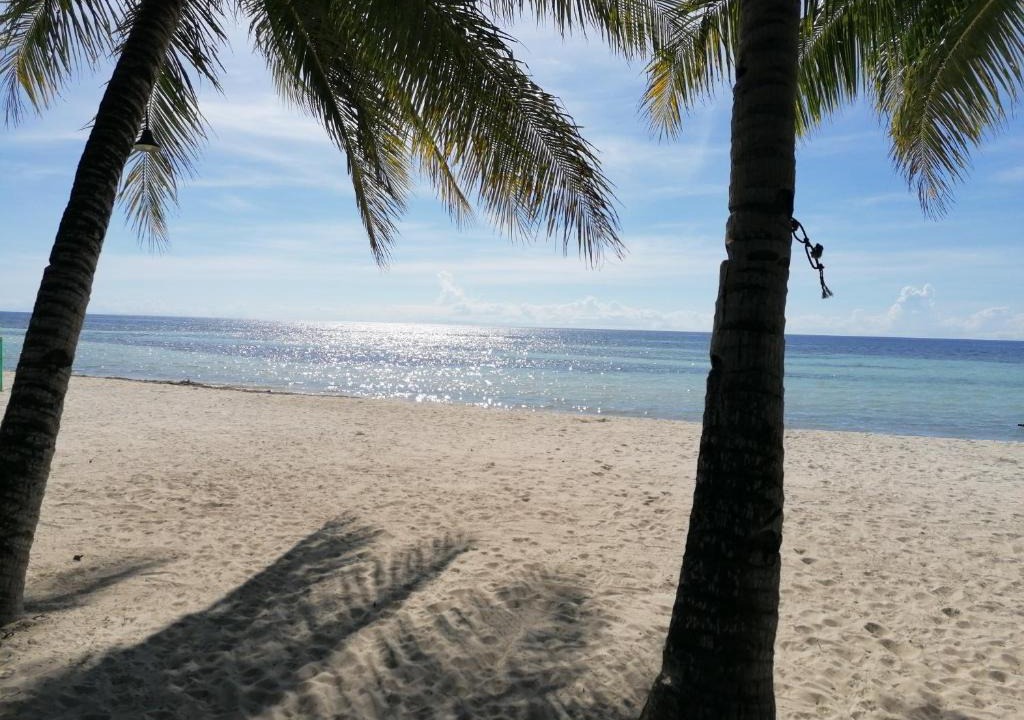 Anda House | Old Castle