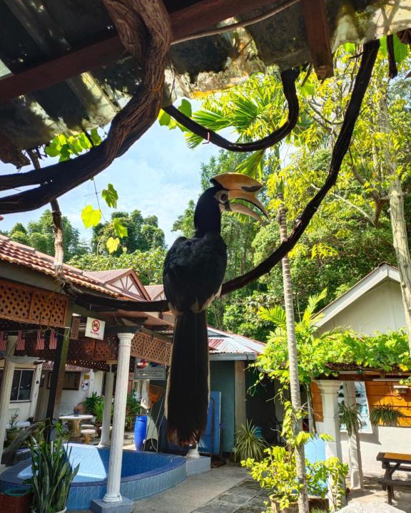 Teluk Nipah Resort | Pangkor Seagull Resort