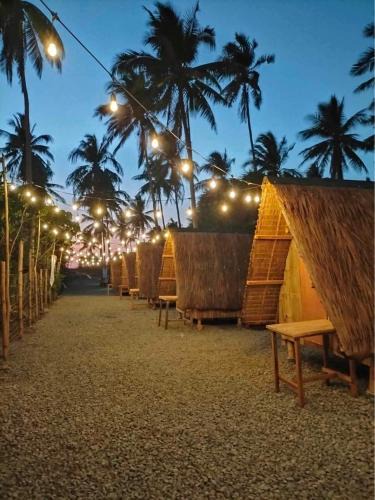 Patar Bed & Breakfast | Patar Palms