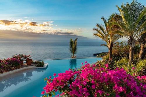 Samana Apartment | Real blue
