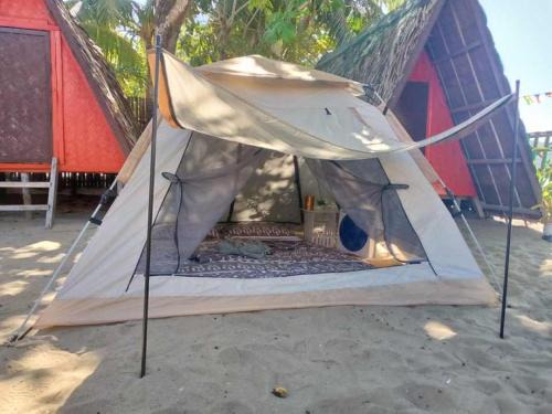 El Nido Other | SHALOM CAMP