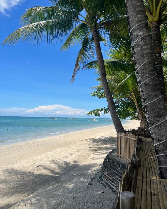 Carles House | Treasure Beach Resort