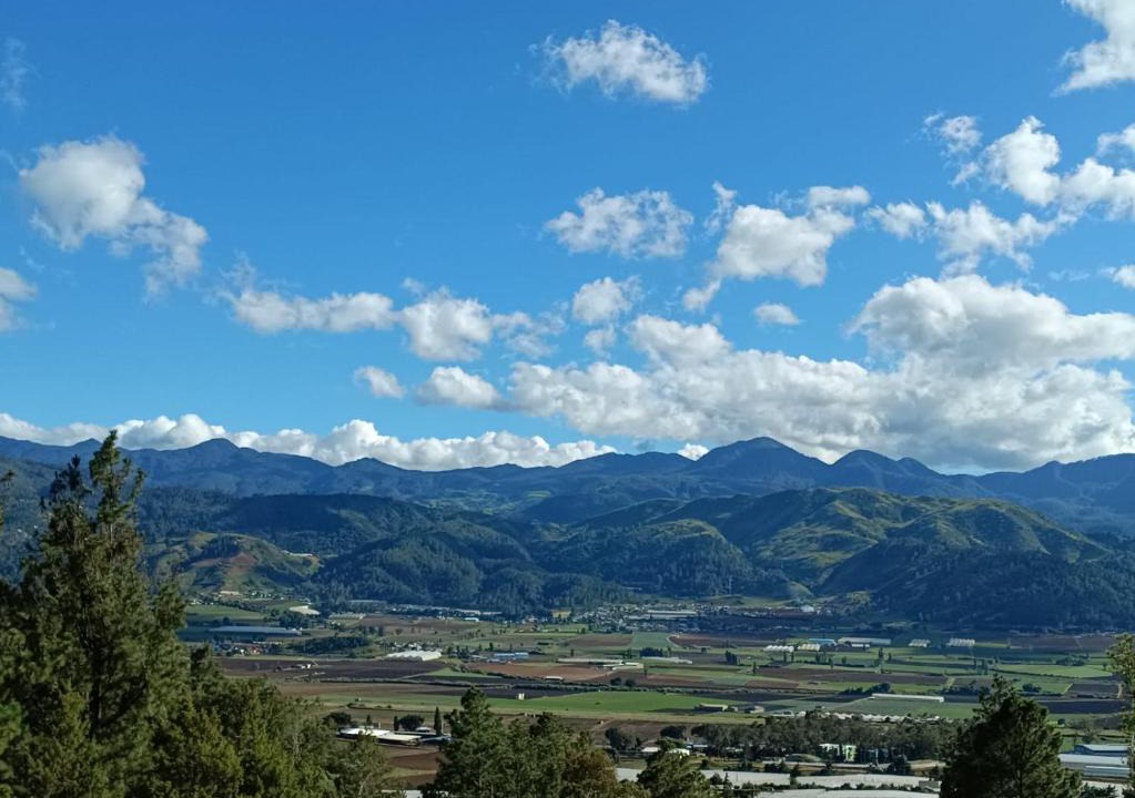 Constanza Villa | Villa paloma
