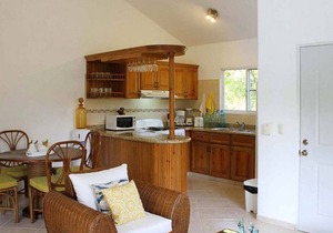 2BD guest-friendly villa with private pool in central Sosua, steps from all! in Sosúa