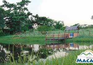 HOME SWEET HOME PUNTA CANA (MACAO)-CLOSE TO BEACH in Punta Cana