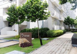 Trees Residences SMDC by Jhoms in Manila