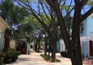 Villa Olivo 9, Punta Cana Village in Punta Cana