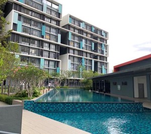 Coresoho 