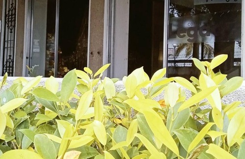 Iloilo City Proper House | 150 m² House ∙ 1 bedroom ∙ 4 guests