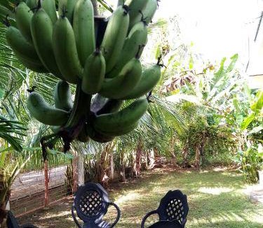 San Juan Bed & Breakfast | 196 m² Bed and breakfast ∙ 6 guests