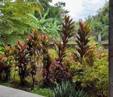 Dumaguete Bed & Breakfast | 22 m² Bed and breakfast ∙ 3 guests