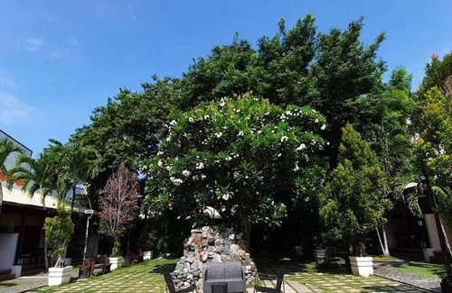 Bauang Hotel | 27 m² Hotel ∙ 2 bedrooms ∙ 10 guests
